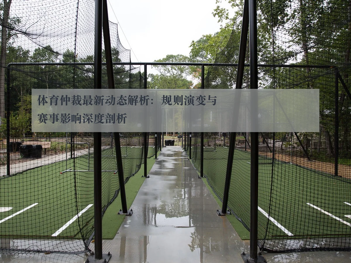 体育仲裁最新动态解析：规则演变与赛事影响深度剖析
